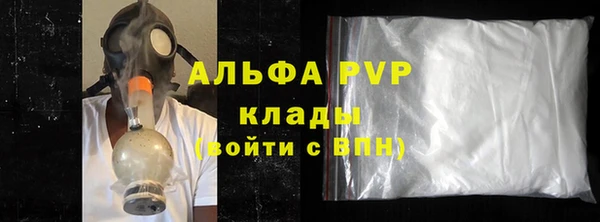 стафф Осташков