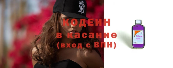 стафф Осташков