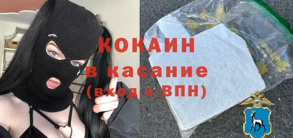 стаф Осинники