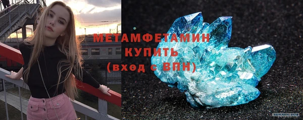 стаф Осинники