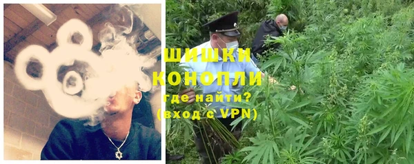 стаф Осинники