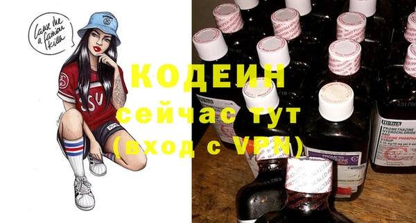ешки Няндома