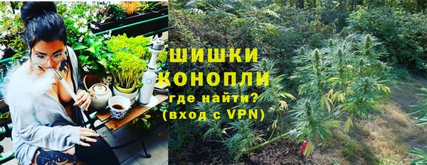 стаф Осинники