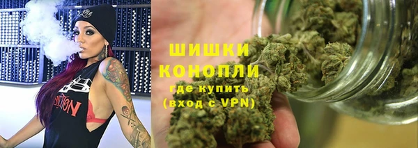 стафф Осташков