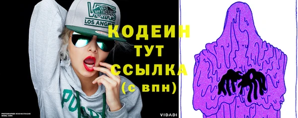 стаф Осинники
