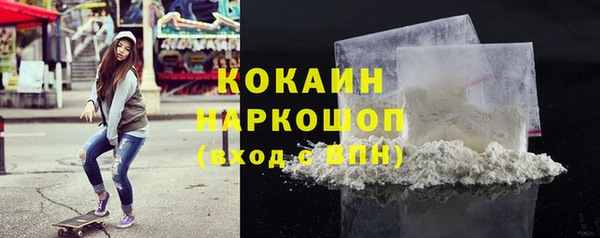 ешки Няндома