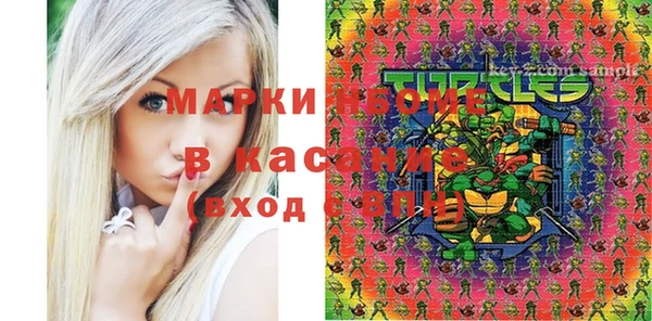 стаф Осинники