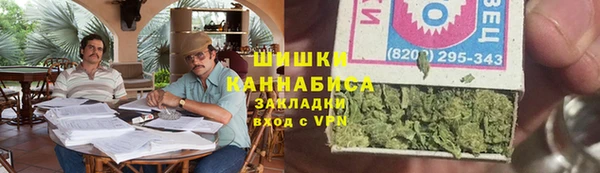 стаф Осинники