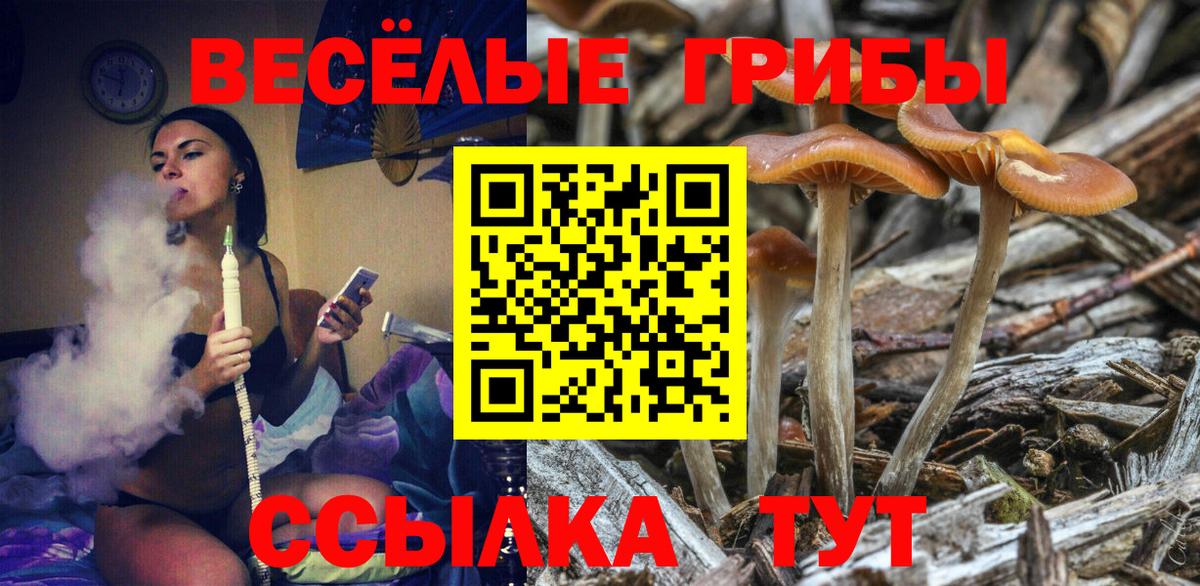 Галлюциногенные грибы Magic Shrooms  Вход с VPN  Кореновск  Галлюциногенные грибы Psilocybine cubensis 